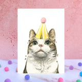 Tabby and White Cat Pompom Birthday Card